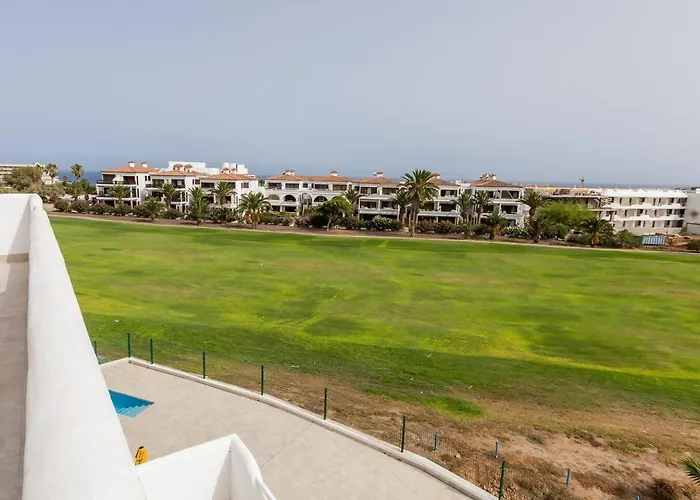 11- Gold Princess Willa *