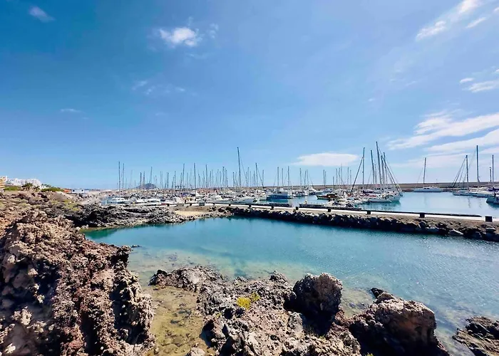 11- Gold Princess Willa